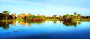 Billabong Sunrise